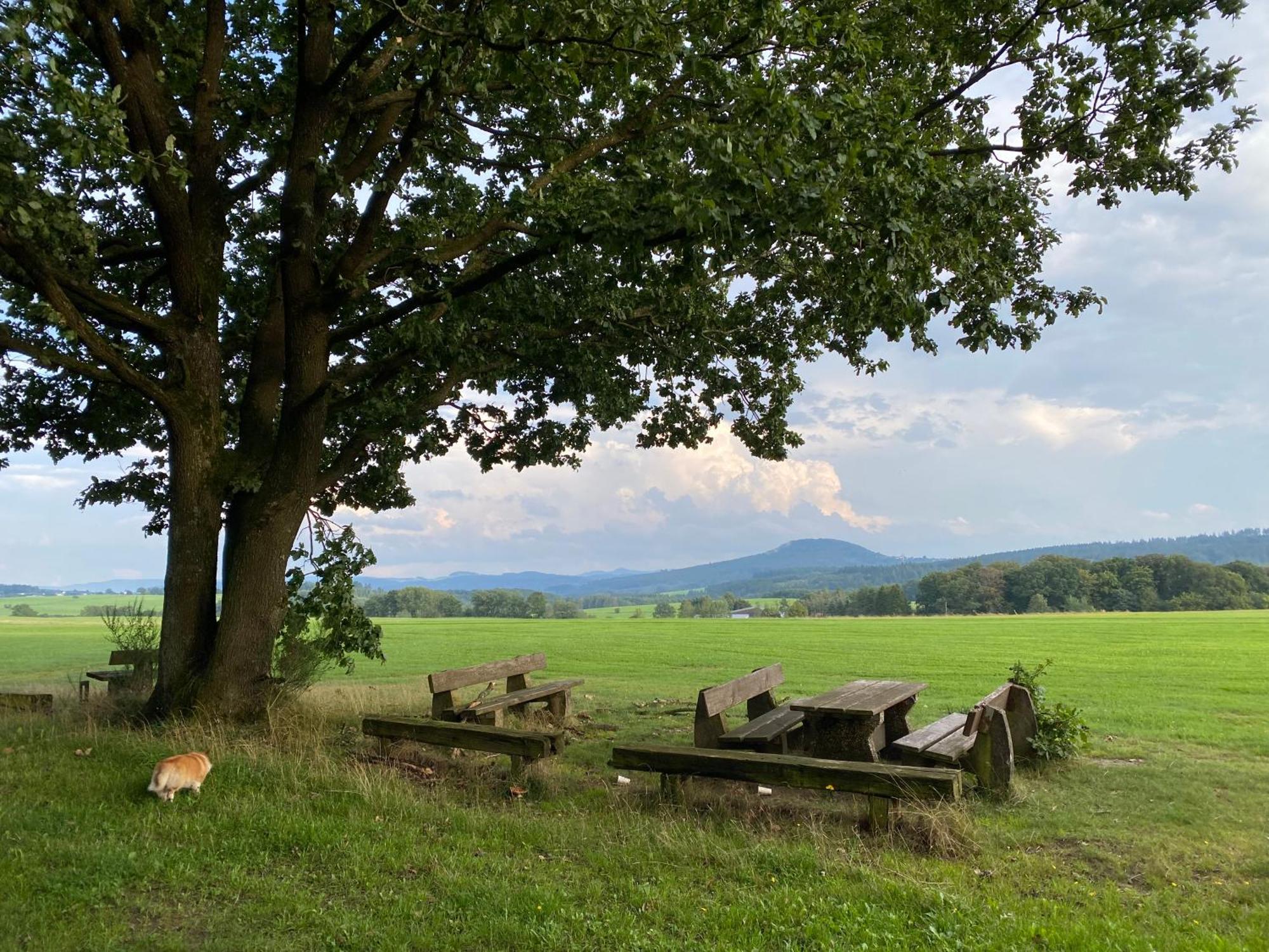 Eifel Ferienhaus Luna Ohlenhard Extérieur photo